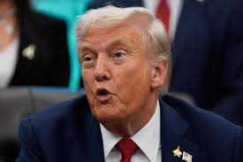 Widowed US Rep. Levin weds psychology professor