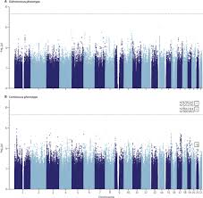 What side effects can lithium cause? Genetic Variants Associated With Response To Lithium Treatment In Bipolar Disorder A Genome Wide Association Study The Lancet