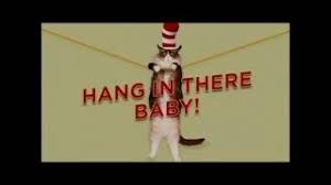 Kitten hang in there baby graphic art on wrapped canvas february 2021 shop wayfair.co.uk for a zillion things home across all styles and budgets. Cat In The Hat Hang In There Baby Youtube