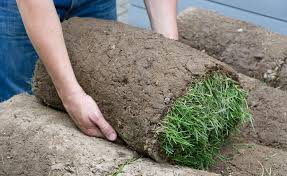 Was Kostet Rollrasen Mit Diesen Preisen Konnen Sie Rechnen Rasen Gruner Rasen Landschaftsgartner