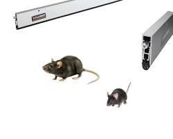 Image de étanchéité rongeur grillage inox bas de porte proofing rodent protection