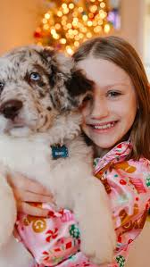 This morning, my niece and nephew got something they’ve been wanting for  quite some time- a new dog!! After learning how to be responsible and take  care of these furry friends, they added little Bluey ...