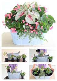 Shadecollage Jpg 700 1 000 Pixels Container Flowers Garden Containers Container Gardening Flowers
