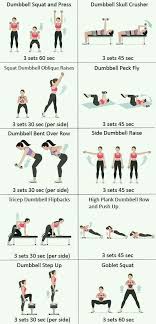 Body Workouts Whole Body Workouts Fitness Body Workout For Beginners