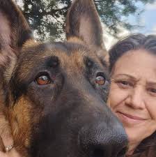 Summer room rental in Oklahoma City for dog owner