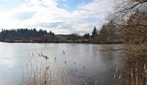 Juli, um 14 uhr, am tutzinger pfaffenberg beim eingang der waldschmidtschlucht. Wanderung Von Tutzing Zu Deixlfurter See Und Ilkahohe