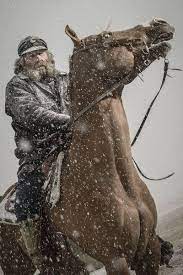 Documentaire de société de david arabia, mason gertz. Rich Lewis Coolest Mountain Man Ever Seuls Face A L Alaska Alaska Cine Cinema