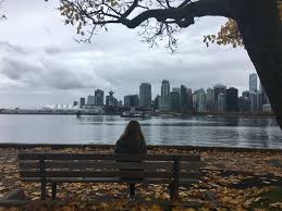 Si hacemos un promedio general, en varios países de latinoamérica estamos acostumbrados a tener nueve meses de mucho sol, más unos tres meses de lluvia con poco sol. Clima En Vancouver Que Me Espera Cuando Viaje Alla Carlos De Ory