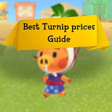Animal Crossing New Horizons On Instagram Guide How To Sell Turnips At The Best Price Turnip Turnips Animal Crossing Animals Best Fireworks