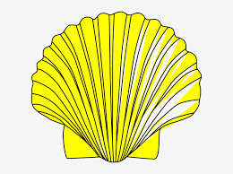 We did not find results for: Red Clipart Seashell Black And White Shell Clip Art Free Transparent Png Download Pngkey