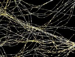 Myasthenie — myasthénie la myasthénie ou myasthénie grave (mg, en latin myasthenia gravis = grave faiblesse musculaire ) est une maladie neuromusculaire de la musculature striée squelettique. Veranstaltungen Update Myasthenie Klinikum Wurzburg Mitte Ggmbh