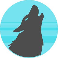 / amazing product, is great quality, great price, i'm. Groovewolf Groovewolf Profile Pinterest
