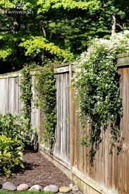 They are the vigorous growers such as alpinas, montanas, and macropetalas. Sweet Autumn Clematis A Fall Blooming Beauty On Sutton Place