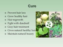 You already have a product that requires a prescription. Hair Loss Medicine Ayurvedic Http Www Hairlossmenwomen Com Hair Loss Medicine Ayurvedic Hair Loss Medicine Hair Loss Growing Healthy Hair