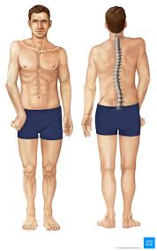 Check spelling or type a new query. Brachial Plexus Injury Clinical Case Anatomy Symptoms Kenhub