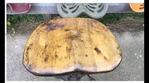 With a wink at rusticity, the dished seat lends warmth and wit to the minimalist lines modernize the classic tractor stool. Carving Cafe Seats Tractor Style Youtube