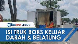 Boomxxi online, nonton movie gratis boomxx1, film dan serial tv online indoxxi, cinema21, lk21, filmapik, dunia21, indoxx1 terlengkap bioskopkeren layarkaca21. Atzvarv2blexlm