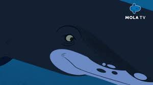 Watch free online, live stream. Shocked Animation Gif By Mola Tv Kids