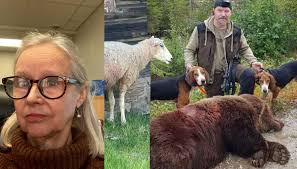 Skyddsjakt på björn i Dalarna: Nytt beslut för att skydda fäbodens får