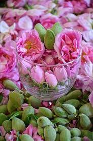 taif rose flower pictures flowers rose