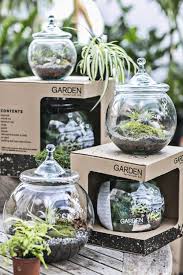 Outdoors Made Fashionable Indoors New Terrarium Kits Available At Garden Terrariums Kits Garden Terrarium Terrarium