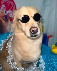 Barker's Grooming Salon