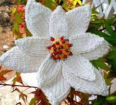Pdf Knit Flower Pattern Poinsettia Knit Flower Etsy Knitted Flower Pattern Knitted Flowers Poinsettia Flower