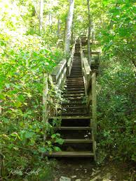 I learned mccormick's creek was indiana's first state park! Mccormick S Creek State Park Indiana Planned Spontaneity