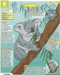 Worksheets Science For Kids Worksheets Science In 2020 Frans Leren Dieren De Marine