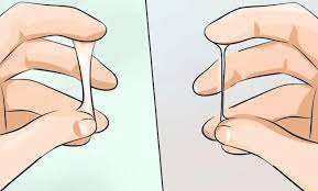 ما هي علامات نزول البويضة بالصور