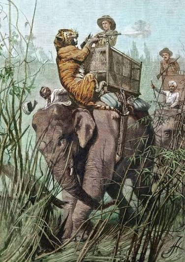 Tiger hunt incident in 1889 British India