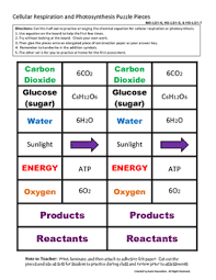 What keeps atmospheric oxygen and carbon dioxide at stable levels? Photosynthesis And Cellular Respiration Equation Puzzle Pieces Tpt
