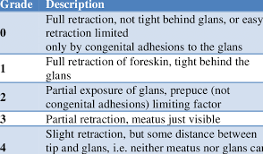 Image result for Phimosis