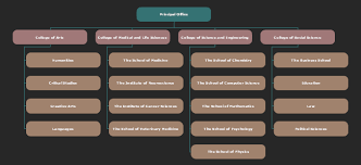 personalize this uk university college system org chart