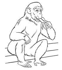 Over 1000 free animal coloring pages of lions, tigers, elephants, zoo animals, bears, ocean animals and more. Top 25 Free Printable Zoo Coloring Pages Online