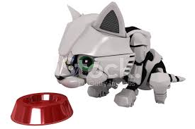 Robot Kedi Yavrusu Kase Stok Fotograflari Freeimages Com