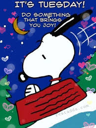 3) funny tuesday quotes that anyone can relate to. Tuesday Morning Funny Quotes Happy Tuesday Quotes Happy Tuesday Images Tuesday Quotes Good Morning