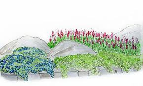 Bodendecker Set Sonne Zum Nachpflanzen 9 Pflanzen Bodendecker Pflanzen Garten