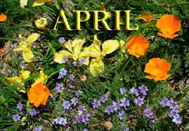 Urbanstems.com has been visited by 10k+ users in the past month April In Your Garden The Santa Barbara Botanic Garden