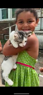 Pride House Decoration Appreciation and Neighborhood Support