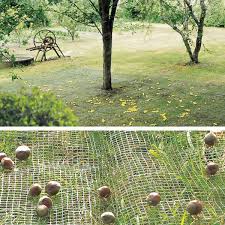 Filet De Ramassage Des Recoltes Fruits Olives 4m X 6m Ambiance Jardin Fruits Olives