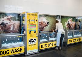 It was a great more. Diy Dog Wash And Grooming Salon Malvern Diy Dog Wash Dog Wash Diy Dog Stuff