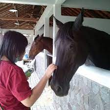 A guide to good practice, by english heritage. Kandang Kuda Bandung Jawa Barat