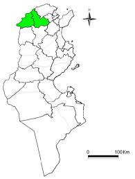 Plans de ville, carte routière et carte touristique tunisie, avec les hôtels, les sites touristiques et les restaurants michelin tunisie Carte De La Tunisie Les Gouvernorats De Beja Et Jendouba Sont Colores Download Scientific Diagram