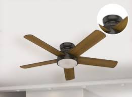 This unique 1 blade ceiling fan whose design is inspired by nature itself comes in 2 sizes: Ceiling Fans Accessories