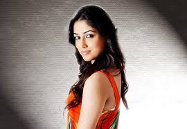 Image result for yami gautam hot photoshoot