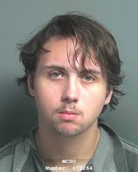 WALLACE DYLAN AUSTIN was booked into the Montgomery County Jail