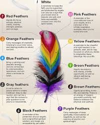 Image Result For Fashion Feather Colors And Meanings Finding Feathers Feather Color Meaning Feather Meaning
