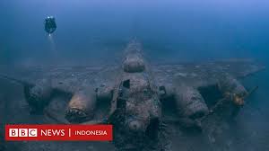 Ular laut adalah kelompok reptil yang sangat khusus yang beradaptasi sempurna dengan kehidupan laut, dan beberapa dari mereka pernah datang ke darat. Foto Foto Bangkai Pesawat Dan Kapal Karam Yang Mengerikan Di Bawah Laut Bbc News Indonesia