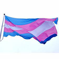 Text dieses emoji stolz der menschen zum ausdruck zu bringen ihre inhalte zu entdecken, wer sie sind. Wetterfeste Transgender Flagge 150 X 250 Cm Love Is Love Queer Swiss Rainbowshop